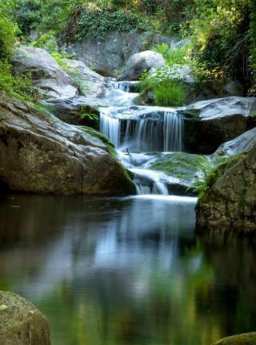 Precioso Piso Con Increibles Vistas En Piedralaves, Tietar ピエドララベス エクステリア 写真